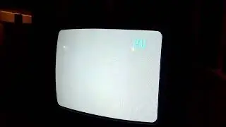 White Screen Of Death Clicking Tone On My Crocodile Dundee 2 1994 Vhs