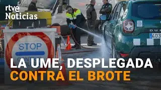 Un BOCADILLO CONTAMINADO, posible origen del BROTE de PESTE PORCINA en JABAL&Iacute;ES en CATALU&Ntilde;A | RTVE