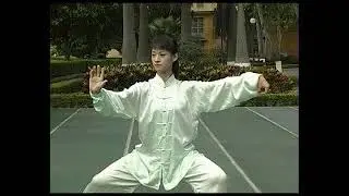 Chen Style Taiji Quan. Old Frame. First Routine (Lao Jia Yi Lu) 74 Form (Part 1)