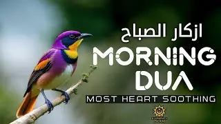 Best Ever Morning Dua | A Shield from Dajjal | Listen & Reflect | Illuminate Islam