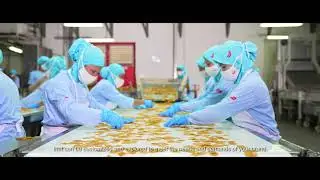 Company Profile PT. Maxindo Karya Anugerah