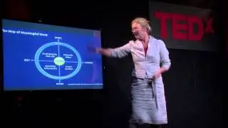 Meaningful Work: Marjolein Lips-Wiersma at TEDxInnsbruck