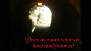 REAL GHOST  ACTIVITY 100%  #paranormal   #realghost  #paranormalactivity