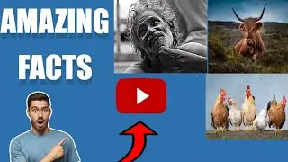 top 5 interesting facts @A2Motivation @CarryMinati @FactTechz