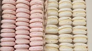 Macarons Sans Stress : Apprenez &agrave; Faire des Coques Faciles !