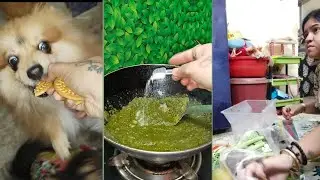 দৈনন্দিন জীবন যাপন || Daily vlog 