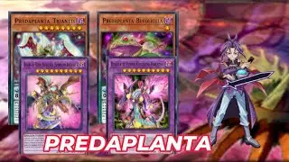 [DUEL LINKS] NUEVO SOPORTE PREDAPLANTA: DOS VERSIONES MUY FUERTES NEW SKILL Y OLD SKILL.