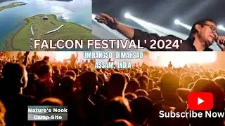 Falcon Festival'2024'| Falcon-vibe |🎸|Falcon-bird | Falcon-Adventure |YouTube | Facebook