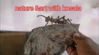 I made this tiny ant and leaf out of scrap metal#metalarts  #animals #insects