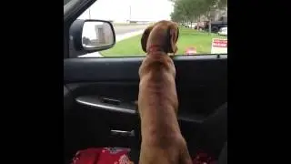 Mr. Wiener!