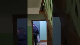 Ещё один неизвестный 20:56 вышел из дальней квартиры 45 или 44. Не поняла кто. Вид добродушный