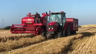 50 year old MF combine