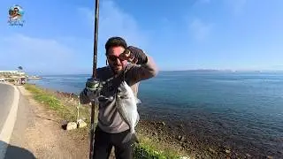 ÇANAKKALE’DE ÇUPRA, ENEZ’DE KİLOLUK LEVREK! | İKİ GÜN – İKİ DENİZ