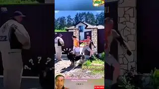 Дрессировка служебных собак 🐕&zwj;🦺 | Сдержанная, верная и высококвалифицированная собака #малинуа #д...