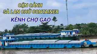 Cận cảnh sà lan chở container trên kênh Chợ Gạo #mientay 