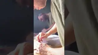 Red Iguana Unboxing