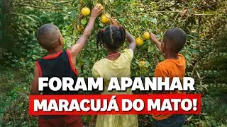 Caso das Crianças Desaparecidas de Bacabal ganha novas revelações inéditas!