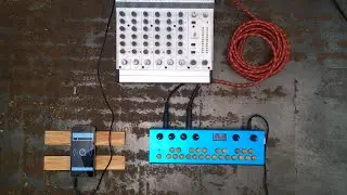 Critter & Guitari - Rhythmic Delay Dist Patch Demo