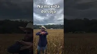 #agro #soja #agronegocio #agricultura #agronomia