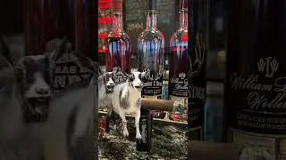 The GOAT is GTS #GeorgeTStagg #goat #wlweller #handy #buffalotrace