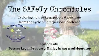 The SAFeTy Chronicles Podcast - Episode 39: Pets as Legal Property - Bailey is not a refrigerator