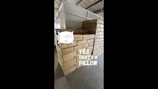 Cosee  Pillows Export Worldwide