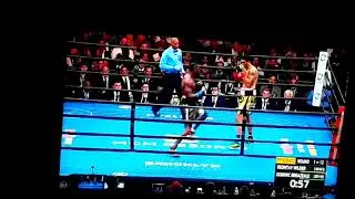 Deontay Wilder Knocks Out Brezeale!!