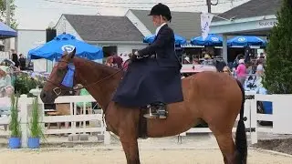 120th Devon Horse Show & Country Fair