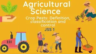 09 - Agricultural Science | J.S.S.1 | Crop Pest, Classification and Control Methods