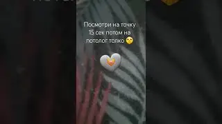 #я #вас #сильно #люблю
