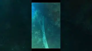 Removing a ghost net #spearfishing #fishing #chassesousmarine #pescasub #spearfishingworld
