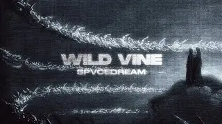 spvcedream - WILD VINE (Official Video)