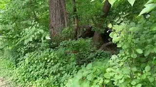 Manomin County Park* - Part 1