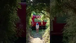 Found a Ghibli-Like path IRL #aesthetic #ghibli #japan