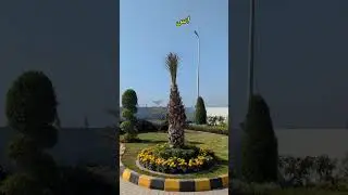 No 1 petrol pump of Pakistan | petrol pump business in Pakistan