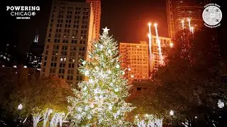 How IBEW Local 134 Electricians Lit Chicago's 68-Foot Christmas Tree | McWilliams Electric