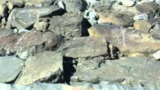 Chimbote beach 23