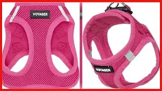 Quality product -  Voyager Step-in Air Dog Harness - All Weather Mesh Step in Vest Harness for Small