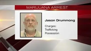 24 marijuana plants seized at Tuscaloosa home