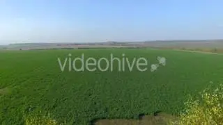 Flying Above Trees and Fields  - 4K Stock Video
