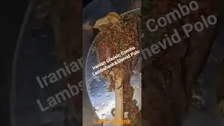 Persian Lamb Shank That Falls Off the Bone 🔥🍖 #food