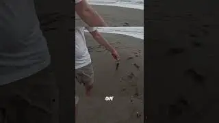 &iexcl;Un Huracan Arruina Mi Torneo De Pesca!