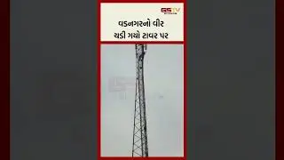 વડનગરનો વીર ચડી ગયો ટાવર પર