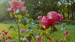 Why HD is BETTER than 4k?(BMPCC OG Footage.. 13 Years Later Pt.2)