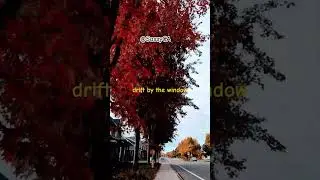 Autumn Leaves #viralvideo #motivation #motivationalquotes #quotes #viral #autumn #short #fyp #uk