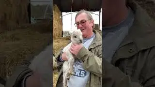 #Вэтотдень, 3 февраля, мы и понятия не имели #шокирующе #вирусно