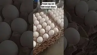 #foryou #generalstore #egg #reels #viralvideo