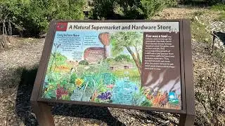 Visiting Sycamore Grove Park in Livermore, California