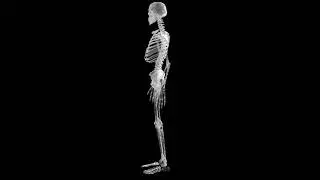 Sci-Fi Futuristic Skeleton | Medical Video Background HUD Sci-Fi | Elements | ASHI-VFX