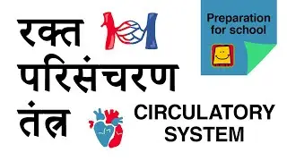 Circulatory System(Hindi) - रक्त परिसंचरण तंत्र